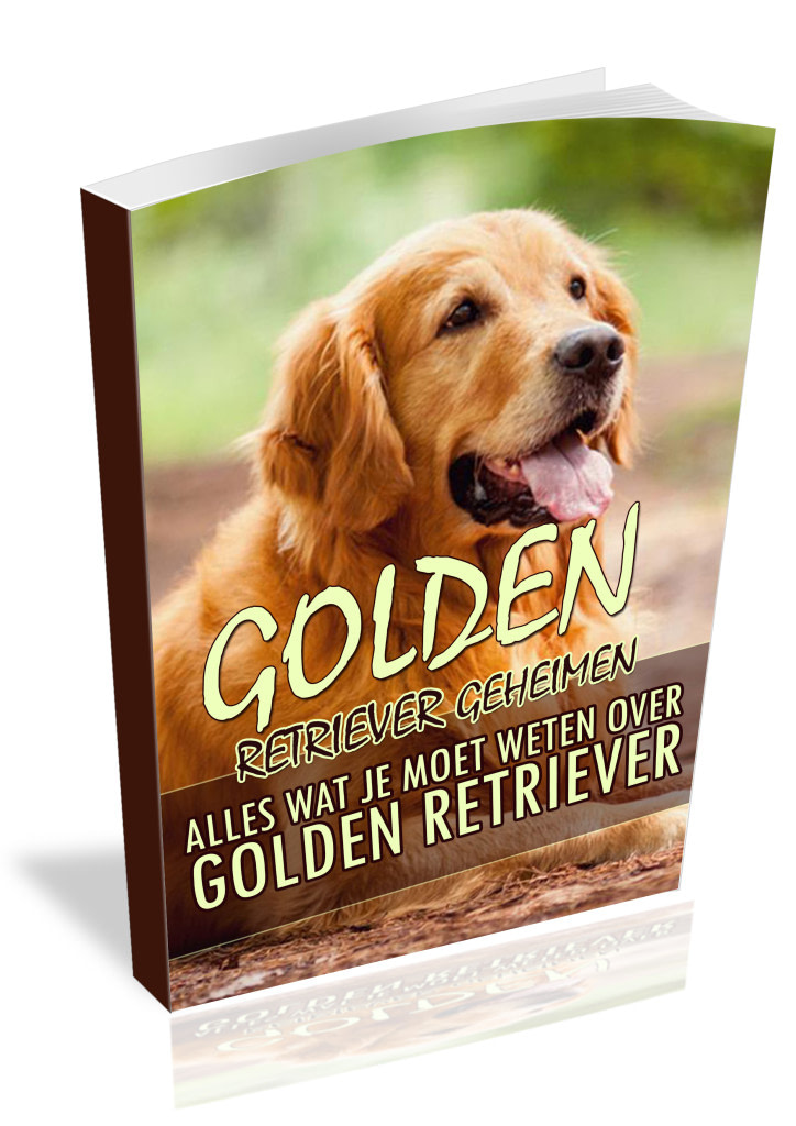 Golden Retriever e-book